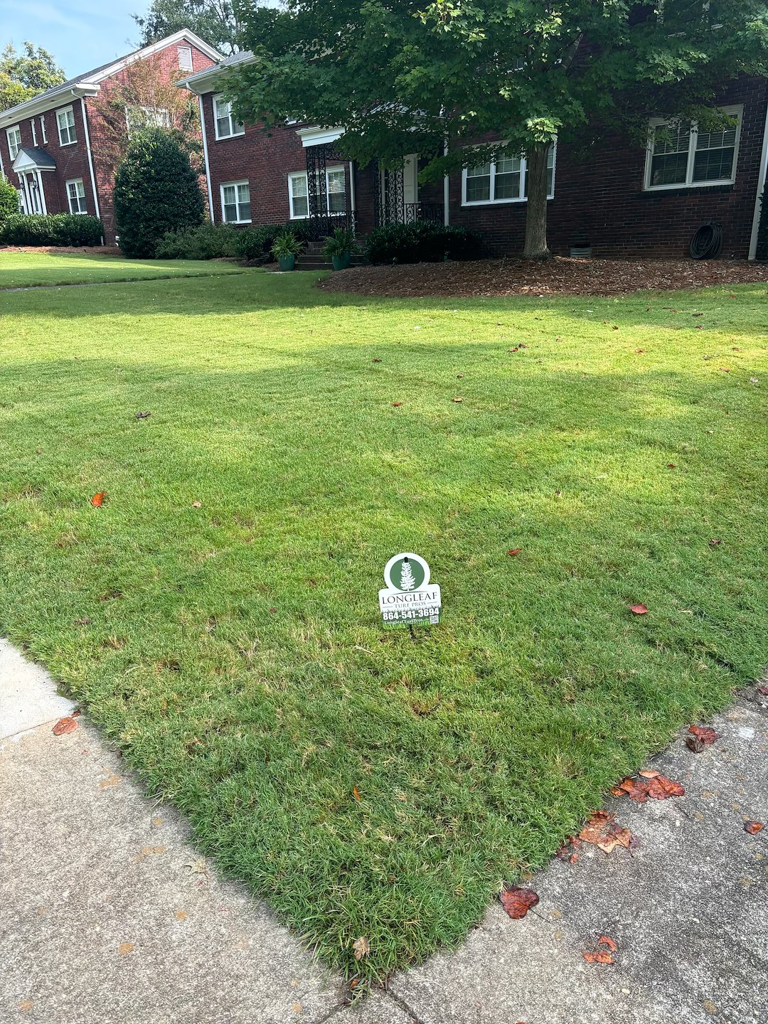 Longleaf Turf Pros: Spartanburg's Weed Control Specialists